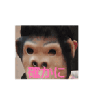 イキゴリの日常（個別スタンプ：5）