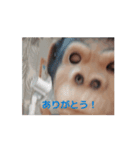 イキゴリの日常（個別スタンプ：6）