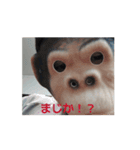 イキゴリの日常（個別スタンプ：11）