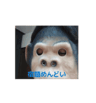 イキゴリの日常（個別スタンプ：14）