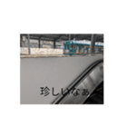 近鉄撮り鉄スタンプ（個別スタンプ：5）