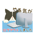 五月病絶賛こじらせ中！【ハチワレコンビ】（個別スタンプ：5）