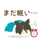 五月病絶賛こじらせ中！【ハチワレコンビ】（個別スタンプ：8）