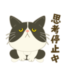 五月病絶賛こじらせ中！【ハチワレコンビ】（個別スタンプ：9）