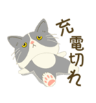 五月病絶賛こじらせ中！【ハチワレコンビ】（個別スタンプ：10）