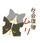 五月病絶賛こじらせ中！【ハチワレコンビ】（個別スタンプ：11）