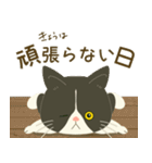 五月病絶賛こじらせ中！【ハチワレコンビ】（個別スタンプ：13）