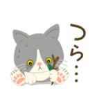 五月病絶賛こじらせ中！【ハチワレコンビ】（個別スタンプ：14）