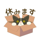 五月病絶賛こじらせ中！【ハチワレコンビ】（個別スタンプ：15）
