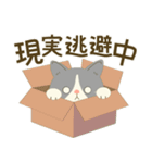 五月病絶賛こじらせ中！【ハチワレコンビ】（個別スタンプ：16）