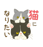 五月病絶賛こじらせ中！【ハチワレコンビ】（個別スタンプ：19）
