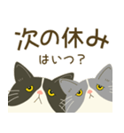 五月病絶賛こじらせ中！【ハチワレコンビ】（個別スタンプ：21）