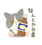 五月病絶賛こじらせ中！【ハチワレコンビ】（個別スタンプ：24）
