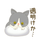 五月病絶賛こじらせ中！【ハチワレコンビ】（個別スタンプ：25）