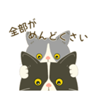五月病絶賛こじらせ中！【ハチワレコンビ】（個別スタンプ：26）