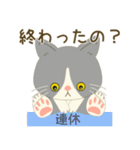 五月病絶賛こじらせ中！【ハチワレコンビ】（個別スタンプ：28）