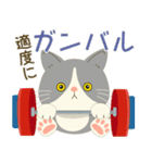 五月病絶賛こじらせ中！【ハチワレコンビ】（個別スタンプ：30）