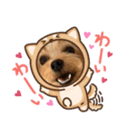 ヨーキーのフィガロ（個別スタンプ：21）