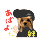ヨーキーのフィガロ（個別スタンプ：40）