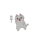 フランクなネコ（個別スタンプ：37）