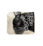 カイとの一日（個別スタンプ：8）
