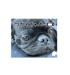 カイとの一日（個別スタンプ：11）