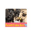 カイとの一日（個別スタンプ：12）