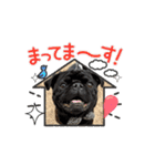 カイとの一日（個別スタンプ：13）