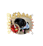 カイとの一日（個別スタンプ：14）