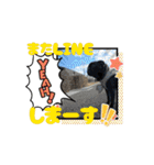 カイとの一日（個別スタンプ：15）