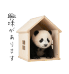 かわいいパンダ（敬語）（個別スタンプ：39）