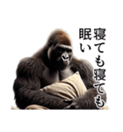 【無気力】イケメンゴリラ（個別スタンプ：11）