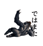 【無気力】イケメンゴリラ（個別スタンプ：40）