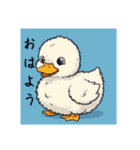 ゆるふわなアヒル（個別スタンプ：1）