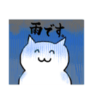 様子のおかしい変な白いねこ。（個別スタンプ：15）