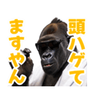 サングラスしたゴリラ【バスローブ3】（個別スタンプ：4）