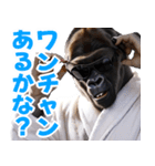 サングラスしたゴリラ【バスローブ3】（個別スタンプ：5）