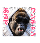 サングラスしたゴリラ【バスローブ3】（個別スタンプ：6）