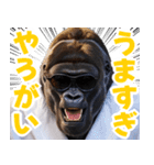 サングラスしたゴリラ【バスローブ3】（個別スタンプ：8）