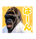 サングラスしたゴリラ【バスローブ3】（個別スタンプ：12）