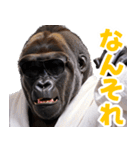 サングラスしたゴリラ【バスローブ3】（個別スタンプ：16）