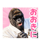 サングラスしたゴリラ【バスローブ3】（個別スタンプ：19）