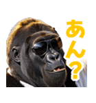 サングラスしたゴリラ【バスローブ3】（個別スタンプ：31）