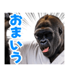 サングラスしたゴリラ【バスローブ3】（個別スタンプ：33）