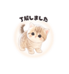 飛び出す❤️子猫日和（個別スタンプ：2）