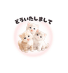 飛び出す❤️子猫日和（個別スタンプ：16）
