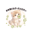 飛び出す❤️子猫日和（個別スタンプ：17）