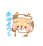 ▶動く！！こしばちゃん❤️ダジャレ❤️（個別スタンプ：1）