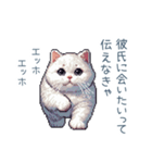 エッホで伝える彼女ねこ【面白い】（個別スタンプ：3）