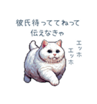 エッホで伝える彼女ねこ【面白い】（個別スタンプ：11）